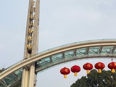 -南山植物园