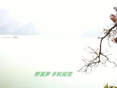 -羚羊峡古栈道森林公园