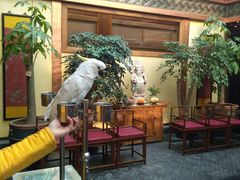 -那家小馆•北京菜•烤鸭(香山店)