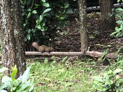 -苍山感通索道