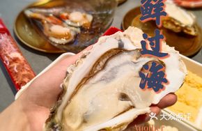6A+ Large Oyster