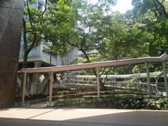 -香港大学