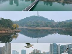 -三星堆博物馆