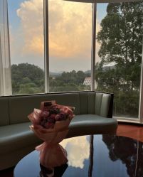-禧月荟·爱丽馨月子中心(山庄店)