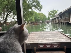 -乌镇东栅景区
