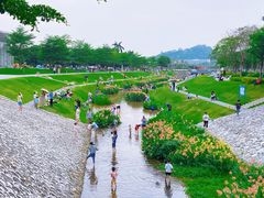 -光明小镇欢乐田园