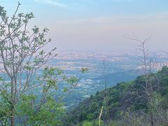 -北京西山国家森林公园