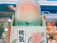 -洋洋爸雪糕(万科店)