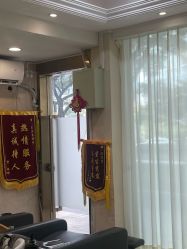 -碧莲盛·不剃发植发