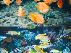 -福州罗源湾海洋世界旅游区