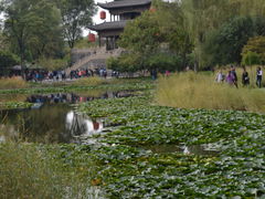 -常家庄园