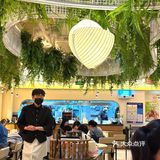 被朋友按头安利！果然是苏州炸猪排天花板….