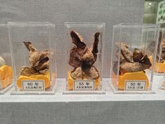-北京中医药大学-中医药博物馆