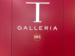 -DFS迪斐世(香港广东道店)