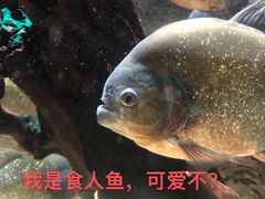 -杭州海底世界