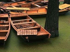 -渌洋湖湿地公园