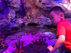 -沈阳海洋探索中心