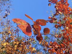 -周口店北京人遗址公园