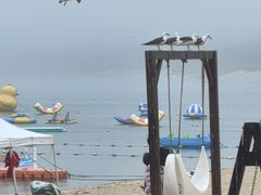 -海驴岛(荣成市)