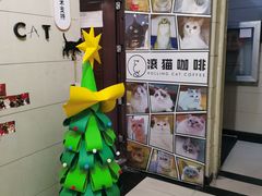 -滚猫咖啡·猫咖·猫友好撸猫(未来城店)