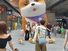 -新光里