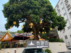 -泰堤坊(淡水体育馆店)