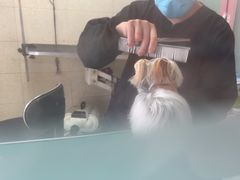 -全心全意连锁动物医院·微创中心·内科急重症·心脏专科(丰管路店)