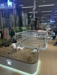 -小象动悟公园(龙湖亦庄天街店)