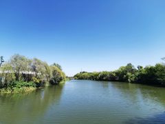 -溱湖国家湿地公园