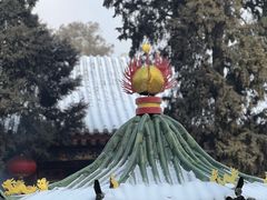 -西安市广仁寺