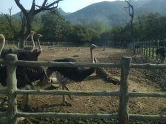 -西安秦岭野生动物园