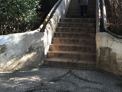 -阿尔罕布拉宫