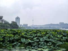 -月湖风景区