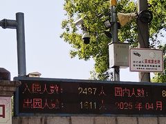 -嘉定紫藤园