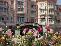 -巴黎迪士尼乐园