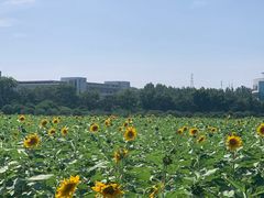 -南京信息职业技术学院
