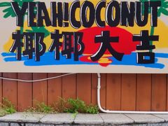 -椰椰大吉(海城店)