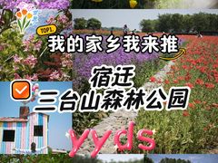 -江苏三台山国家森林公园