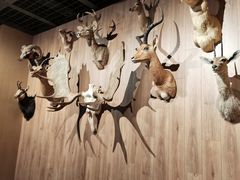 -陕西自然博物馆