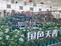 -盈香心动乐园