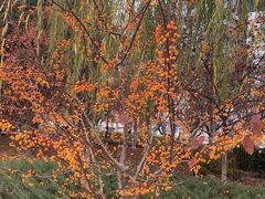 -元大都城垣遗址公园