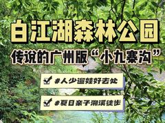 -广州白江湖森林公园