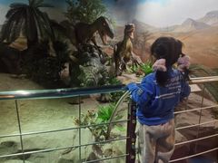 -国家自然博物馆