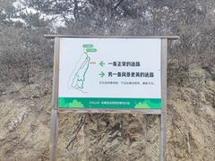 -日光山谷营地乐园