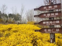 -北京张裕爱斐堡酒庄