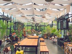 -北马山庄植趣咖啡