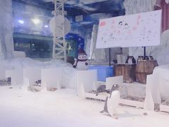 -芜湖新华联大白鲸海洋公园