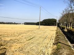 -嘉北郊野公园