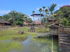 -海南槟榔谷黎苗文化旅游区