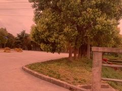 -无忧学车·大众驾校(长宁校区)